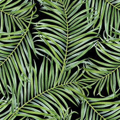 Palm Leaf seamless Pattern. Watercolor illustration of Tropical leaves. Hand drawn on isolated black background. Botanical painting of jungle foliage. Nature ornament drawing for wallpaper and fabric
