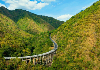 Fototapeta na wymiar Aerial view of bridge over highway road in green of National park