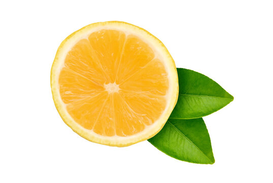 lemon slice on transparent background png
