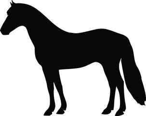 silhouette of a horse