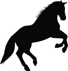 silhouette of a horse