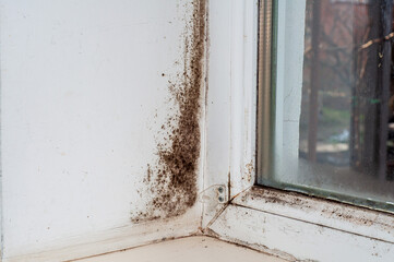 Black mold on wall, window freezing, condensation in winter.