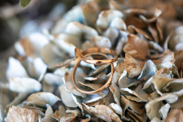 anillos, anillas, anillo, alianzas, doble, par, dos, amor, pareja, macro, zoom, hojas secas