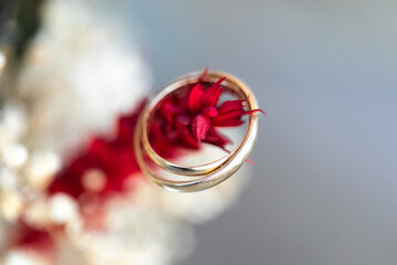 anillos, anillas, anillo, alianzas, doble, par, dos, amor, pareja, macro, zoom, rojo