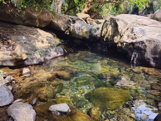 Crystal clear pond in the forest in Palakkad,Kerala,India. 