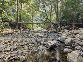 Fototapeta na wymiar Bamboo walking bridge across the stream in Kerala, India. 