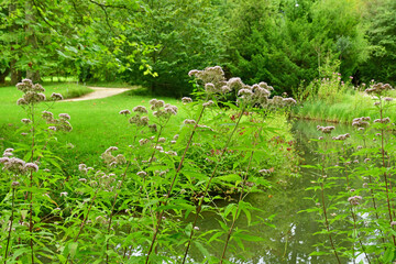 Versailles; France - august 19 2023 : park in the Marie Antoinette estate