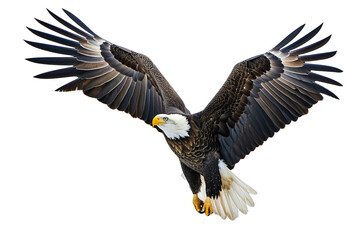 Majestic Bald Eagle Soaring in the Sky Isolated on Transparent Background