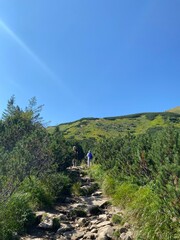 beautiful view in the top of the mountains © galyna0404