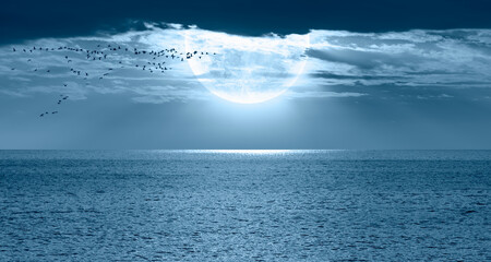 View of trumpeter swans flying - Night sky with blue moon in the clouds over the calm blue sea 