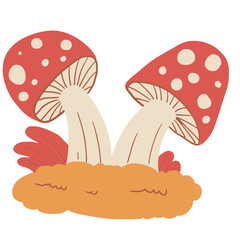 Illustration of amanita mushrooms in autumn. Cartoon plant vector illustration