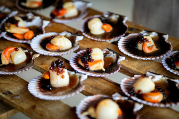 alimento, aperitivo, cena, delicioso, fresco, almuerzo, casero, salubre, concha de mar, alm eja