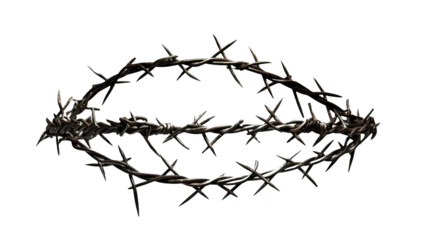 barbed wire on white background