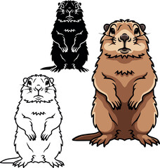 Groundhog vector