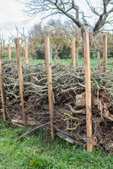 Benjeshecke aus Totholz im Garten selber bauen