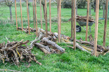 Benjeshecke aus Totholz im Garten selber bauen