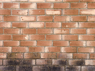 brick wall texture background