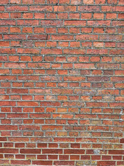 Naklejka premium red brick wall