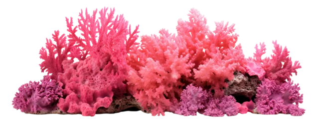Fototapeten Pink coral reef cut out © Yeti Studio
