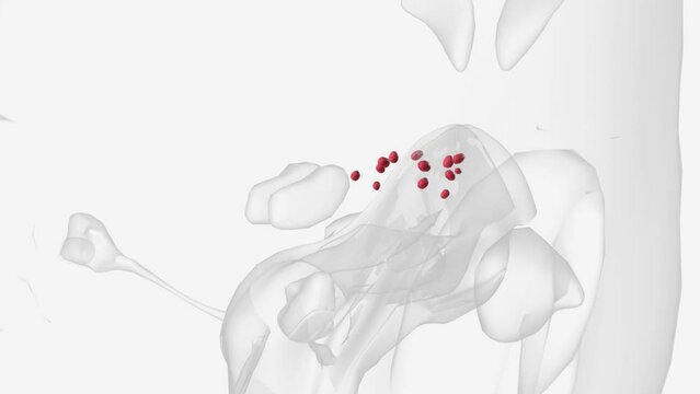 The ethmoid sinuses are located at the top of your nose (the bridge) between or just below the eyes .