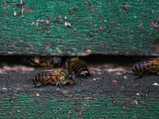 A small world in a garden in the middle of a city.