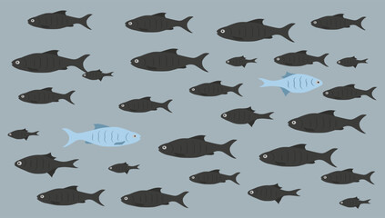 One unique fish swims opposite from identical blacks. Concept of courage, confidence, success, crowd and creativity.