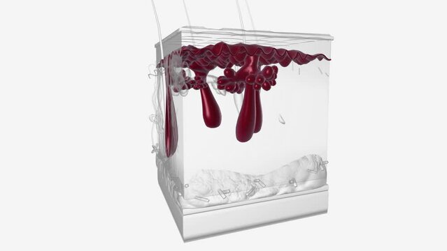 The basal layer is the innermost layer of the epidermis, and contains small round cells called basal cells .