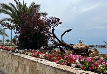 Anchor on a flower bed with flowers against the backdrop of a bay with yachts, ships and the sky