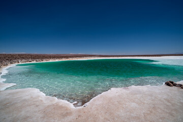 Hidden lagoon Baltinache , Lagunas escondidas Baltinache in Atacama Desert, Chile