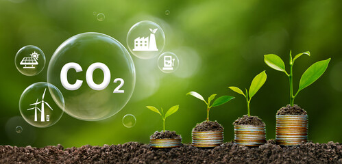 the light bulb sits on the ground Plants grow on stacked coins. Renewable energy production is...