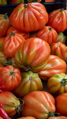 Canestrini di Lucca tomatoes on sale at the Italian food market
