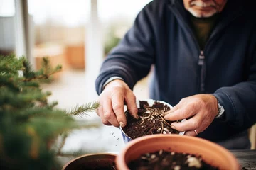 Fotobehang hands repotting a bonsai into new soil © primopiano
