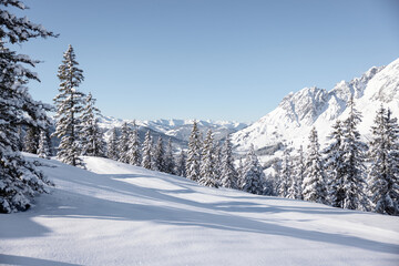Fototapeta na wymiar Winter morning in the Alps. Snowy landscape background
