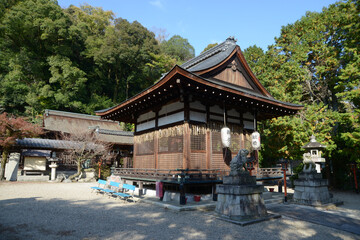Obraz premium 秋の長等神社 拝殿 滋賀県大津市三井寺町