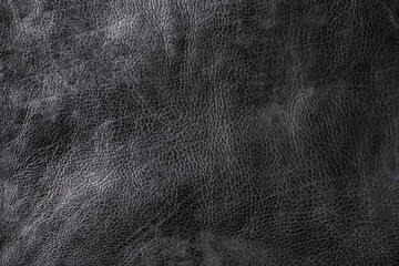 Black leather background.Texture. Rough black genuine leather