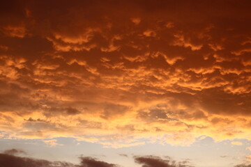 Fototapeta na wymiar Bright orange cumulus clouds in the sky during a fiery sunset
