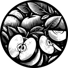 Vector illustration of whole and cut apple enclosed in a circle, black and white on white background