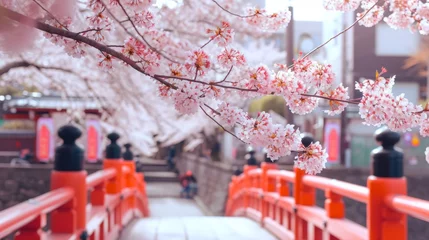 Foto op Canvas Cherry Blossoms Over a Red Bridge in Spring © esp2k