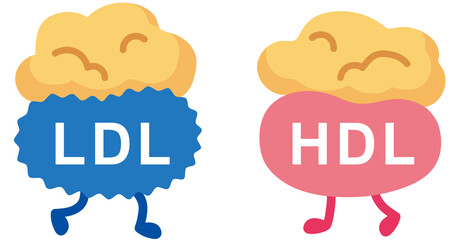 善玉コレステロールと悪玉コレステロール