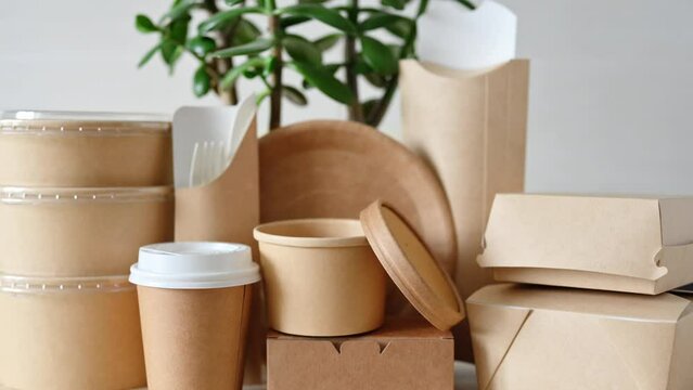 Indoor green plant and eco-friendly disposable paper tableware. The concept of zero waste and conservation of nature.