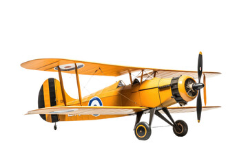 Tiger Moth Isolated on Transparent Background