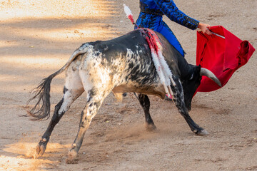 Bullfight in Spain. Spanish bullfighter in the bullfighting arena. 