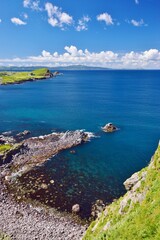 利尻島の夏景色