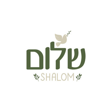 Hand Drawn Shalom Calligraphy Text Vector Design.