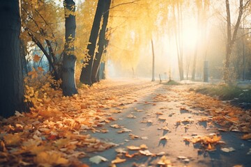 forest path covered in autumn leaves during sunrise