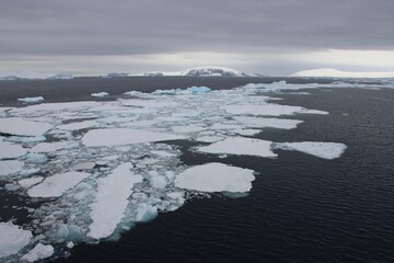Ice floes in Hope Bay, Antarctica.