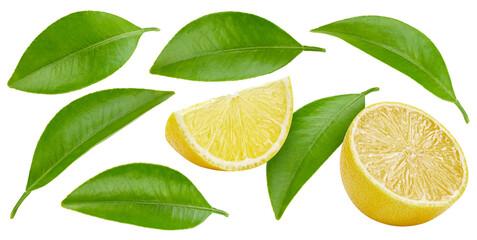Fresh organic lemon isolated - obrazy, fototapety, plakaty