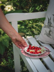 Woman's hand serving plate with wild strawberries on a slice of cake served on a white bench in the garden