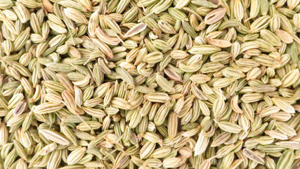 フェンネルシード