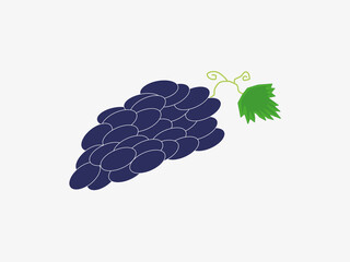 Grape icon vector illustration design template. Grapes logo concept